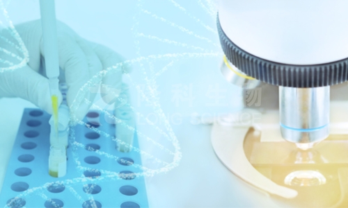 为什么使用16S rRNA鉴定菌株