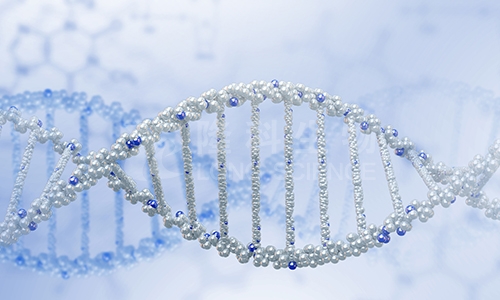 细胞转染实验的目的是什么？