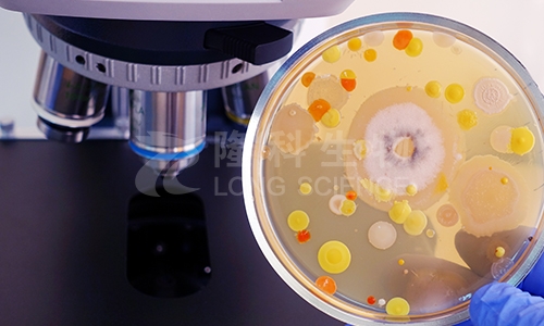 抑菌圈实验技术服务