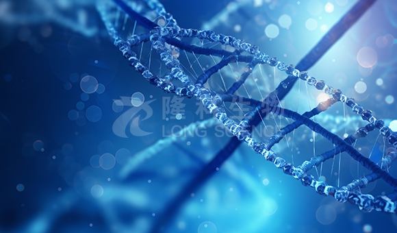 蛋白表达与纯化实验服务