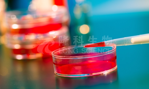 氧化应激指标检测