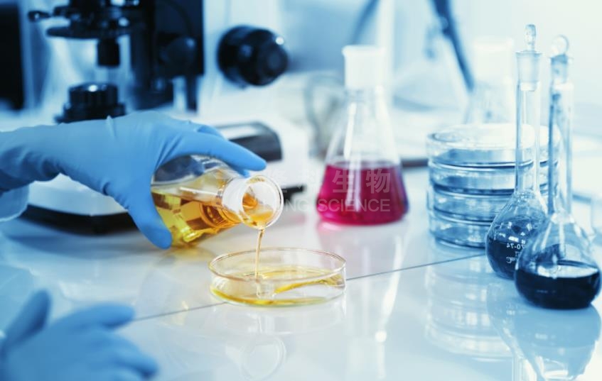 细胞活性实验技术服务检测方法