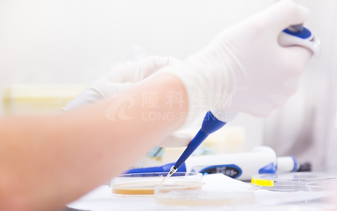 掌握蛋白提取关键步骤，提升研究质量