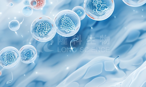 常见的NK细胞活性检测方法