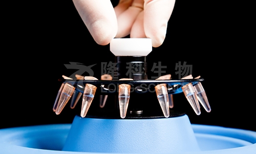 揭秘qPCR三大核心：Ct值、荧光探针，90%人忽略的细节